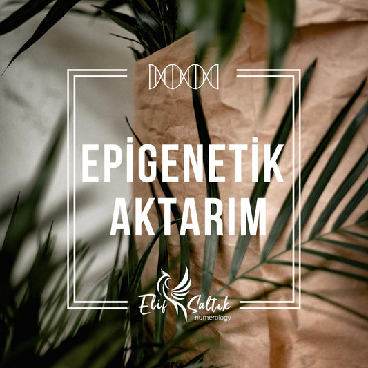 Epigenetik Aktarım
