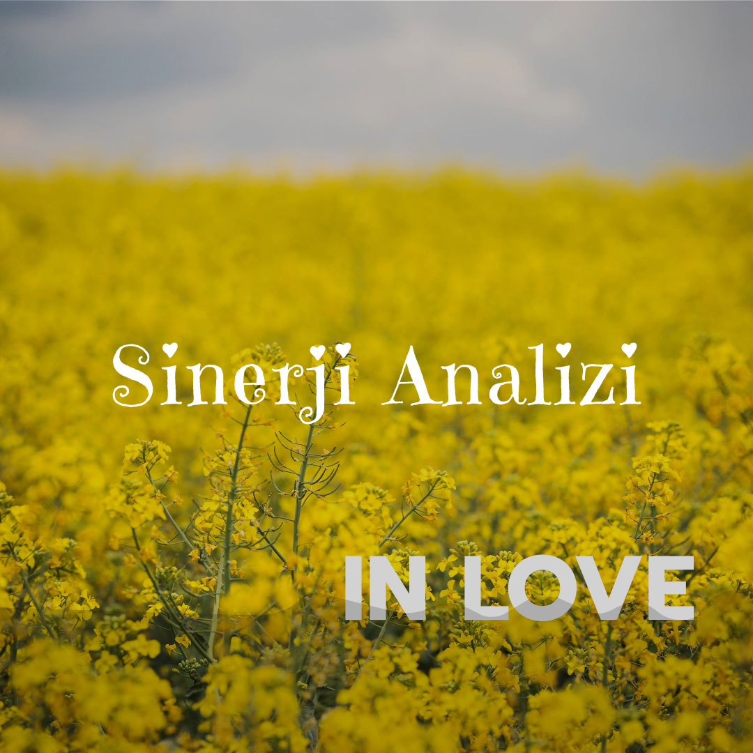 Sinerji Analizi