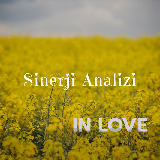 Sinerji Analizi